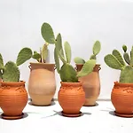 Lägenhet Amphora - Akrotiri Cozy Getaways *