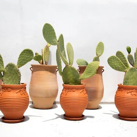 Appartement Amphora - Akrotiri Cozy Getaways *