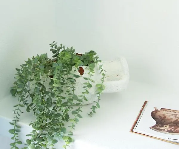 Apartmán Amphora - Akrotiri Cozy Getaways *